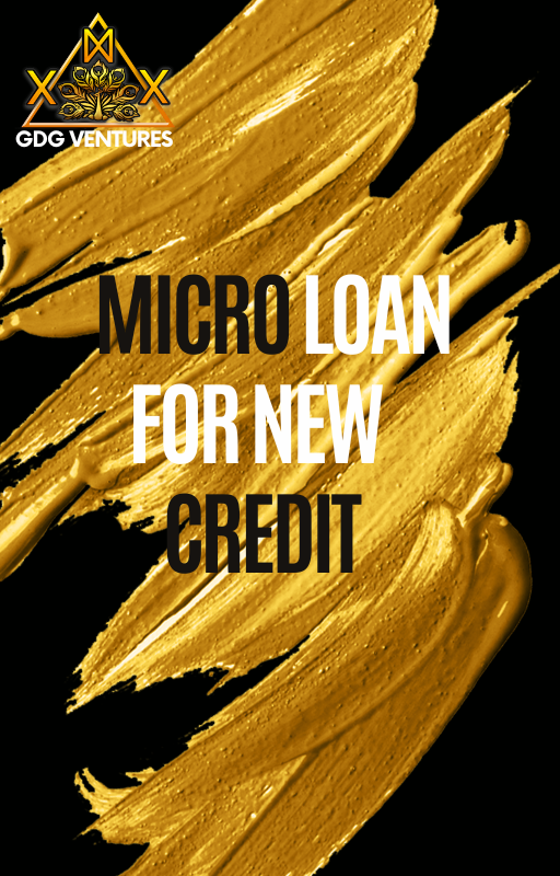 Micro Loan For New Credit