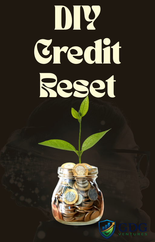 DIY Credit Reset